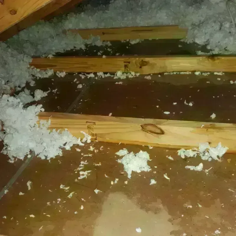 Attic Water Damage in Lake Dunlap, TX