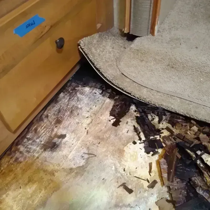 Wood Floor Water Damage in Lake Dunlap, TX